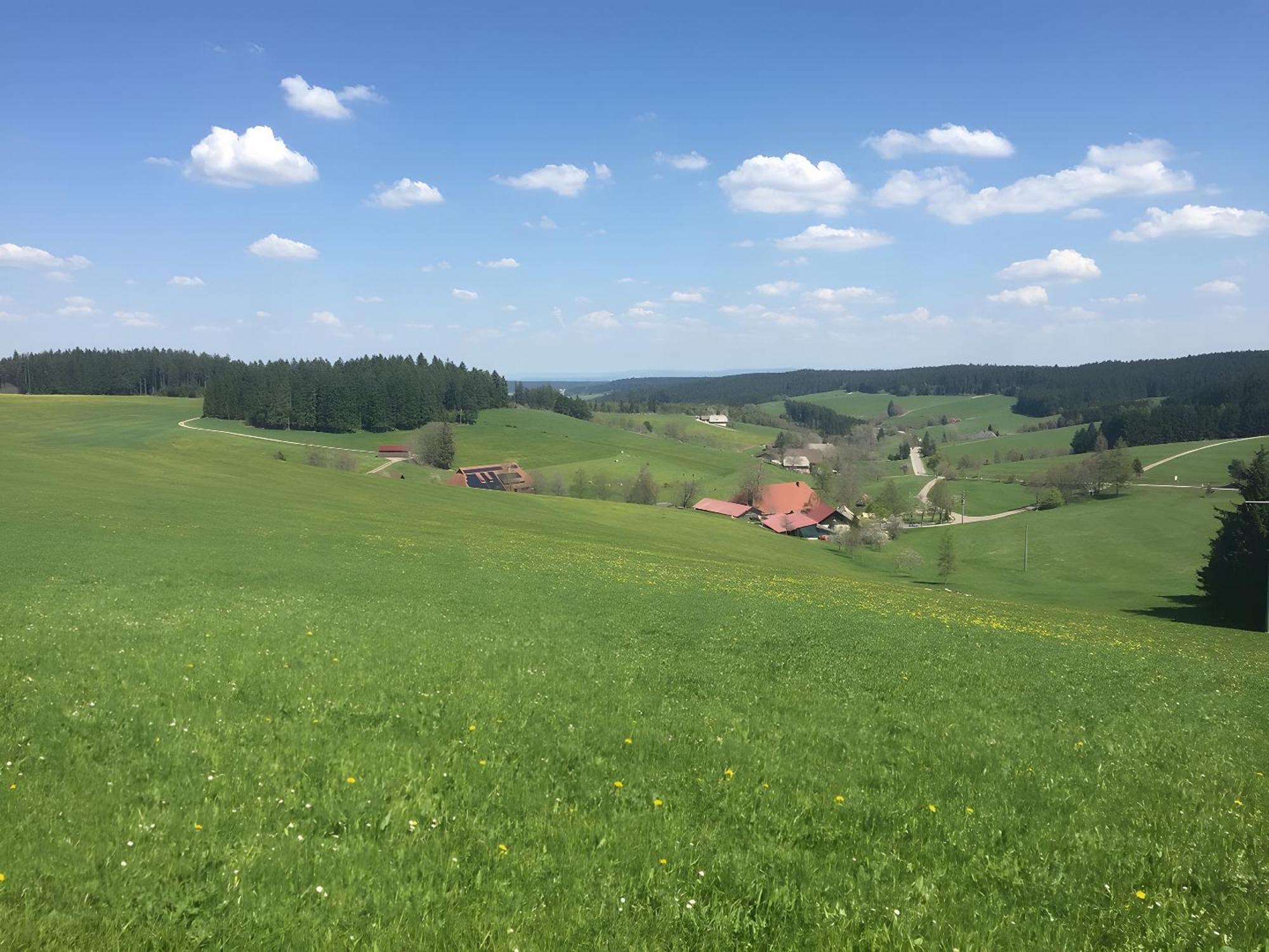 Blackforest Ferienwohnung St. Georgen im Schwarzwald Exterior foto