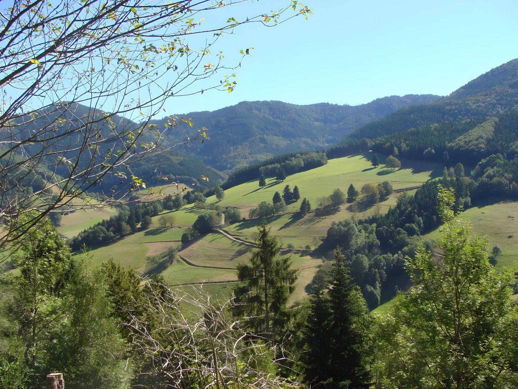 Blackforest Ferienwohnung St. Georgen im Schwarzwald Exterior foto